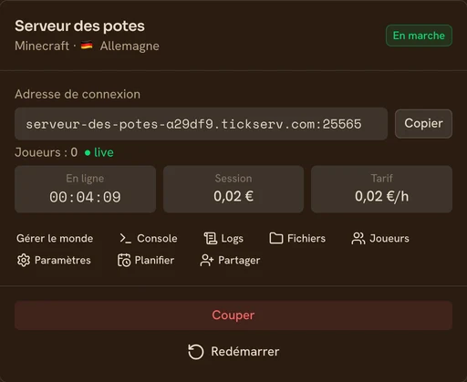 Carte d'un serveur Minecraft en marche dans la console TickServ : adresse de connexion, compteur de session, coût en cours et tarif horaire